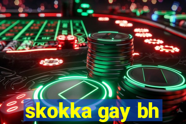 skokka gay bh